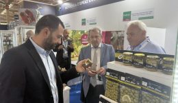 sti-FOOD-EXPO-2026-i