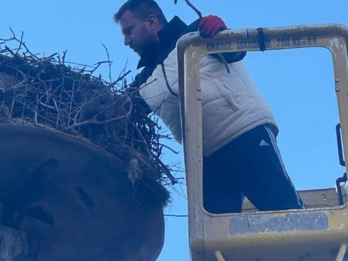 Τα χωριά του κάμπου του Δήμου Μετεώρων υποδέχονται την άνοιξη – Εθελοντική δράση για τη φωλιά των πελαργών στη Σαρακίνα