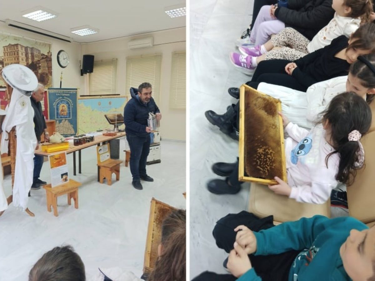 Τα ποντιάκια της «Παναγίας Σουμελά» Κατερίνης γνώρισαν τον κόσμο της μέλισσας