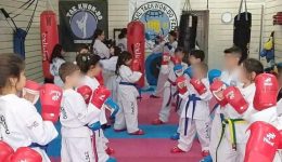 techniko-seminario-Taekwon-Do-sto-moschato