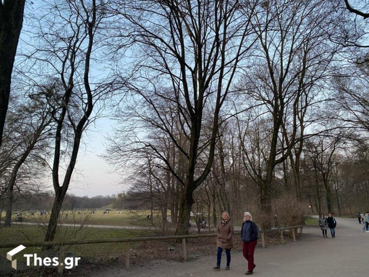 Θεσσαλονίκη: Ένα νέο αστικό δάσος αλλάζει την πόλη – Πού θα γίνει το 3ο micro Forest στην Ελλάδα