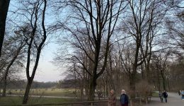 thessaloniki-ena-neo-astiko-dasos