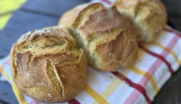 thessaloniki-i-12i-Artozyma-ferni