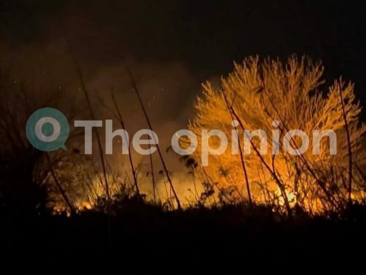 Θεσσαλονίκη: Σε ύφεση η φωτιά στα Μάλγαρα – Συνεχίζεται η διακοπή κυκλοφορίας στην ΠΑΘΕ