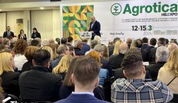 thessaloniki-Άnixe-tis-piles-tis