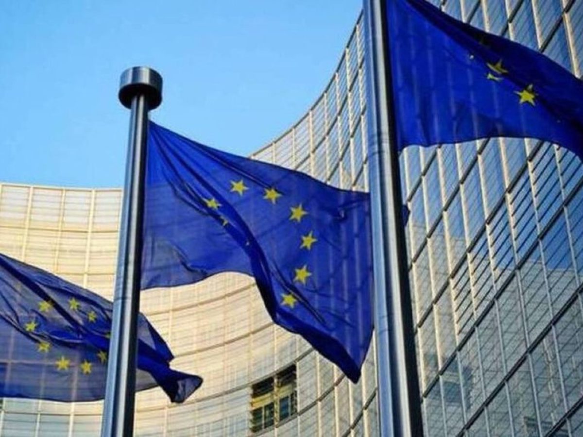 Θετικοί στην ενίσχυση της επιχείρησης «Ασπίδες» οι YΠΕΞ της EE