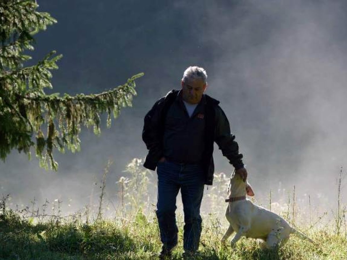 Θλίψη για την απώλεια του Παύλου Αηδονόπουλου – «Η ψυχή» του Συλλόγου Μανιταρόφιλων ΑΜΘ
