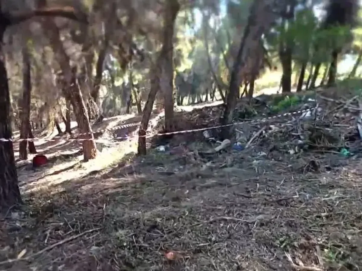 Θρίλερ στη Χαλκιδική: Η «Κόκκινη Βαλίτσα» και το Μακάβριο Μυστικό του Δάσους