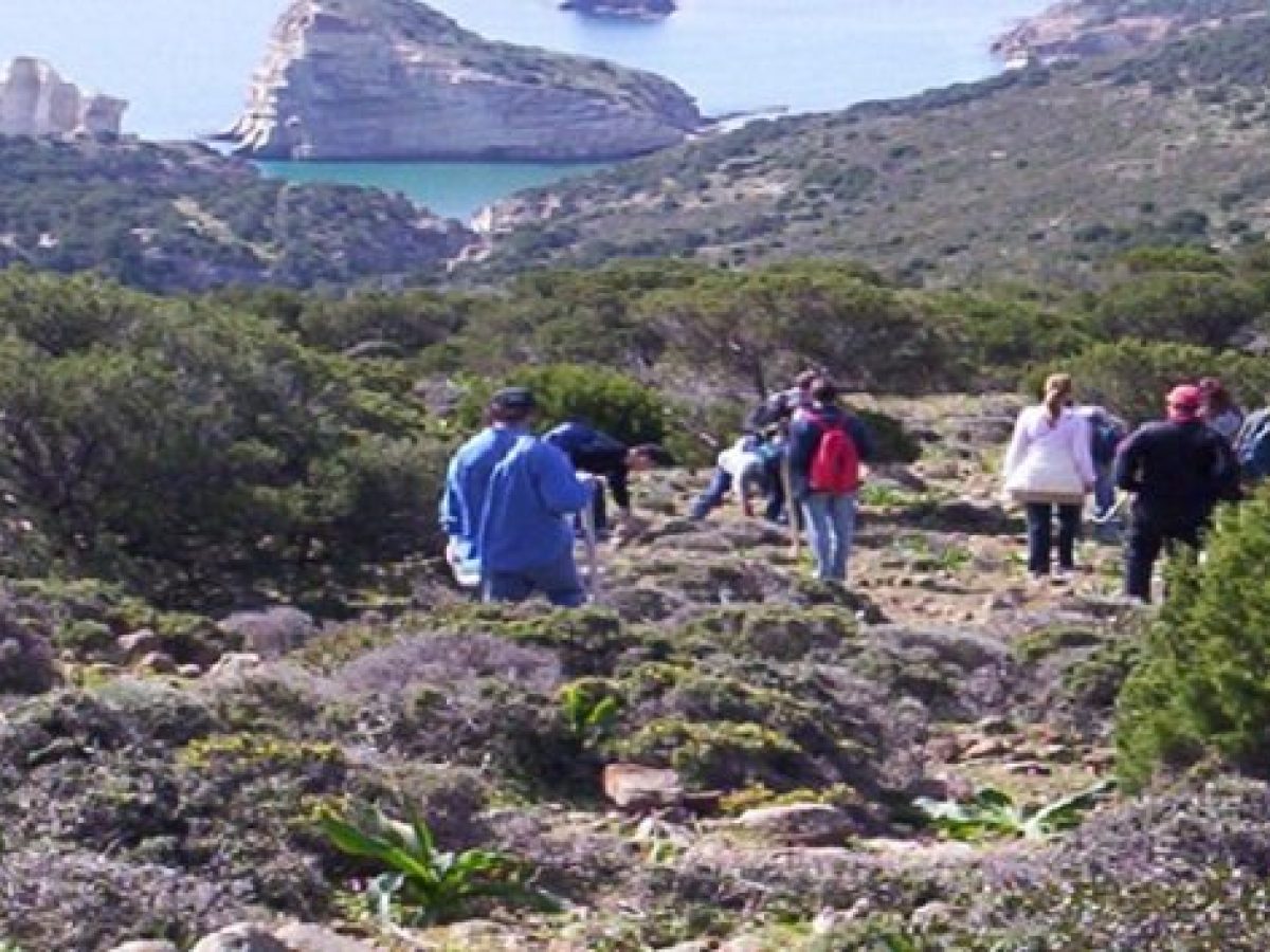 Την  Κυριακή 15/3/2026 ο Όμιλος Φίλων Βουνού και Θάλασσας Μήλου διοργανώνει πεζοπορία  στο  Κοντάρο.