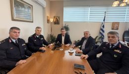 to-plesio-ameson-paremvaseon-gia