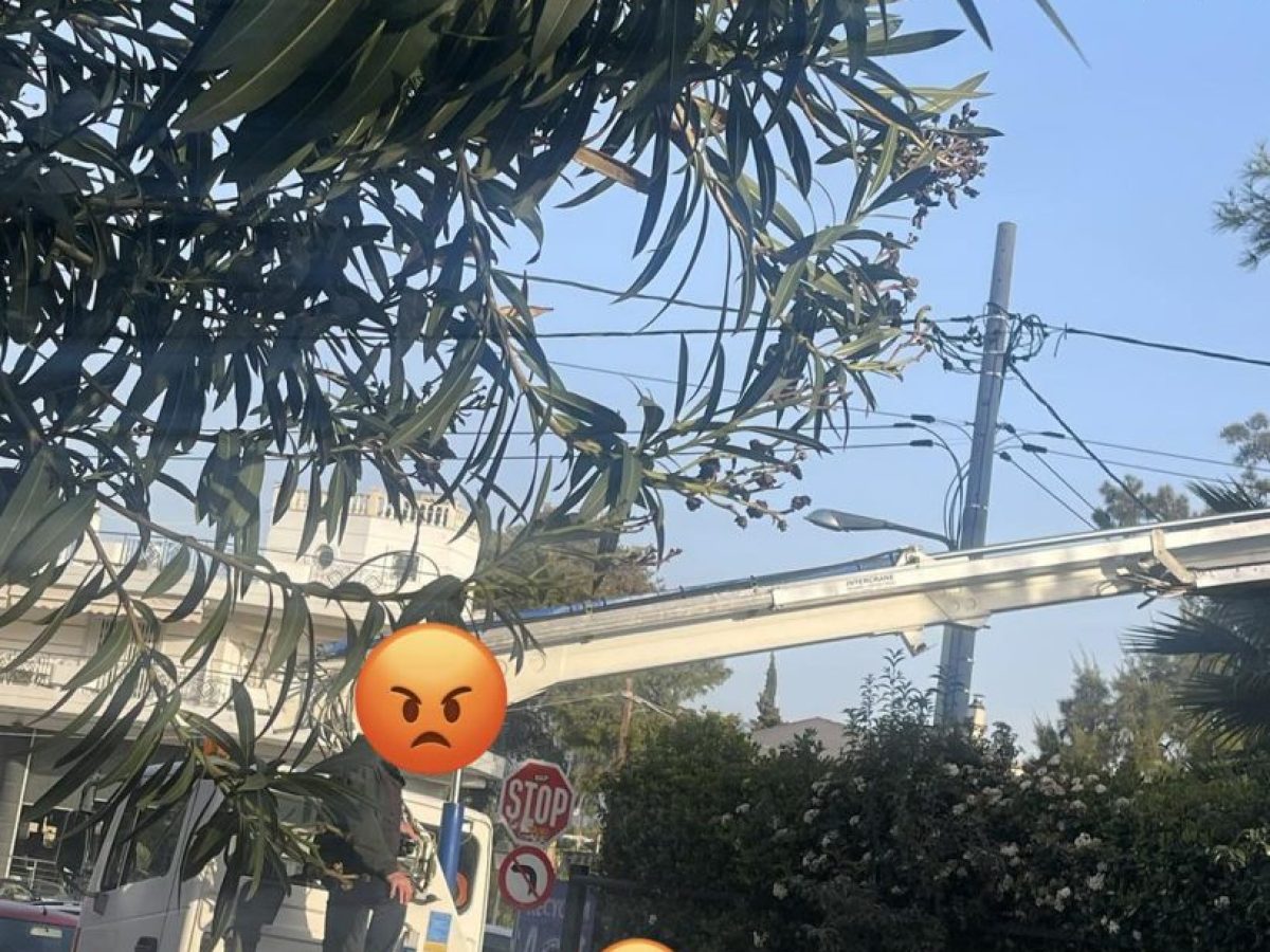 Το Συνεργείο Πρασίνου του Δήμος Κηφισιάς εν ώρα Υπηρεσίας κλαδεύει πεύκο σε Ιδιωτικό Χώρο!…του Βαγγέλη Αυλήτη.