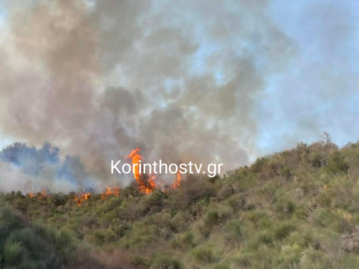 ΤΩΡΑ: Φωτιά σε δασική έκταση στα Σοφιανά Κορινθίας (video-φωτό)