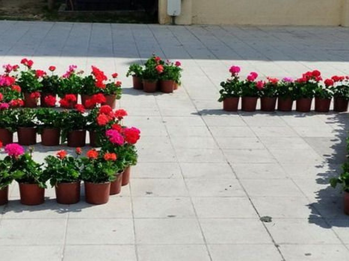 Τρία Χρόνια από τα Τέμπη: Δράση Μνήμης στο Μοσχάτο