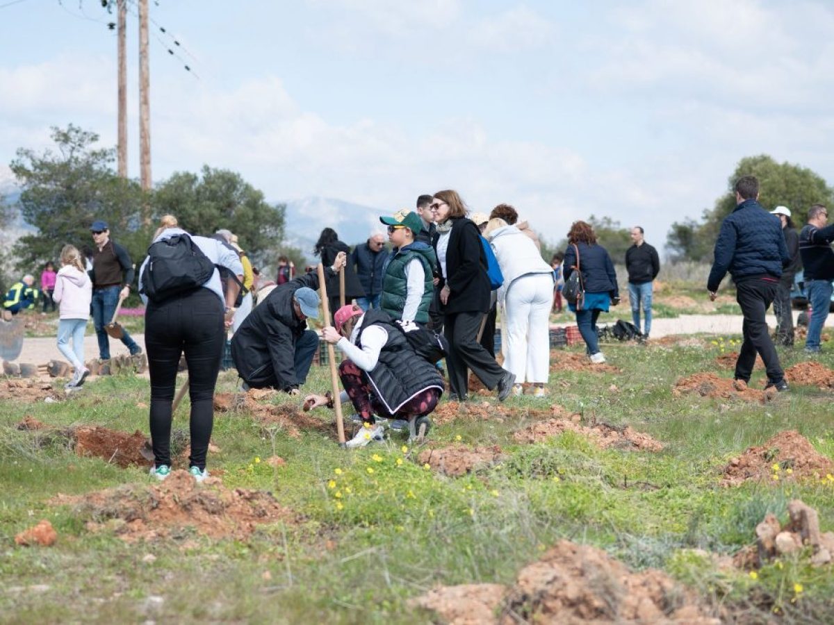 Βάρη: Πράσινη «ασπίδα» με 1.000 νέα δέντρα στο Κόρμπι