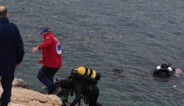 vouliagmeni-vrethikan-vatrachopedila-ke-fiali-1