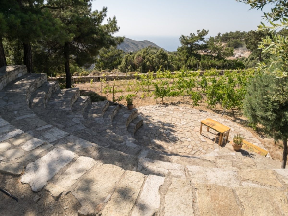 Βραδιά Σινεμά στο Οινοποιείο Αφιανέ: «Poor Things» του Γιώργου Λάνθιμου