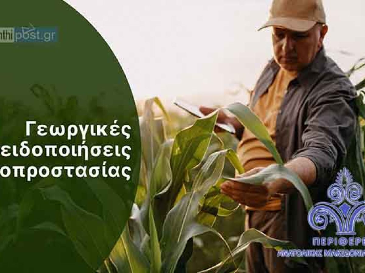 Ξάνθη: Σε εγρήγορση οι αγρότες – Ξεκινά η έκδοση των δελτίων φυτοπροστασίας για το 2026