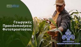 xanthi-se-egrigorsi-i-agrotes