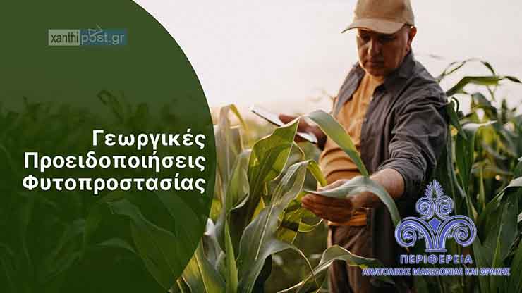 xanthi-se-egrigorsi-i-agrotes