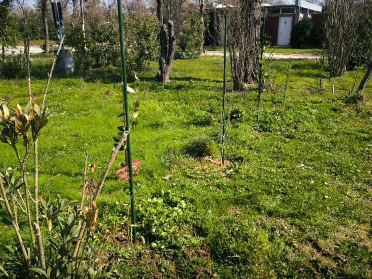 Ξεκίνησε η πρώτη δεντροφύτευση στον χώρο του Κάμπινγκ Αλεξανδρούπολης 