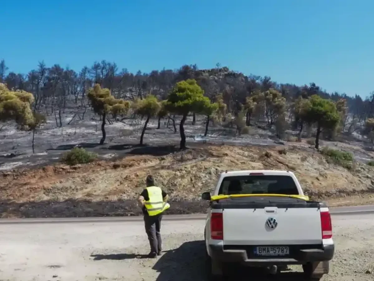 «Ζεστό» χρήμα 1,48 εκατ. ευρώ στη Δυτική Αττική για πυροπροστασία: Πόσα πήρε κάθε Δήμος και πού πρέπει να τα ξοδέψει