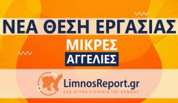 zitite-ipallilos-gia-diachirisi