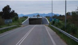 Άktio-preveza-to-mpachalo-me-ta-4