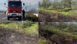 Άmesi-kinitopiisi-tis-pirosvestikis-ipiresias