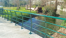 Άrchisan-apokatastasis-sto-parko-tis