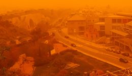 Αfrikaniki-skoni-tha-kataklisi-ti