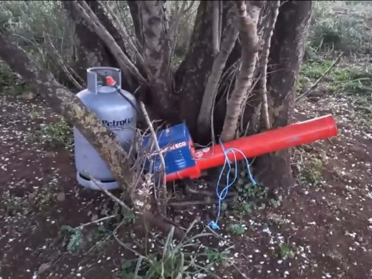 Αγέλη λύκων στο Ξηρόμερο – Ζημιές σε κοπάδια και αυτοσχέδιο «κανόνι» από κτηνοτρόφο