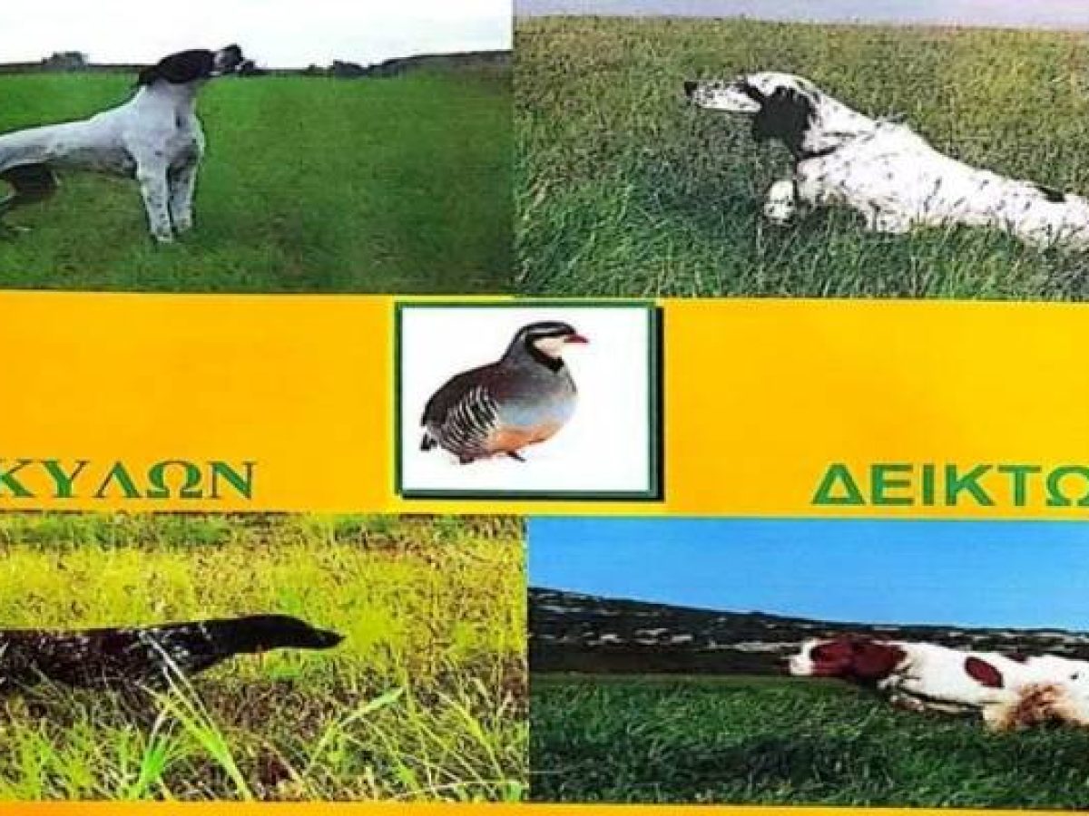 Αγώνες Σκύλων Δεικτών στη Λήμνο: Το Σαββατοκύριακο 21-22 Μαρτίου