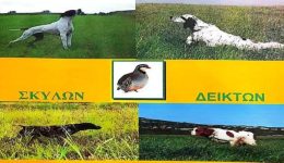 Αgones-skilon-dikton-sti-limno