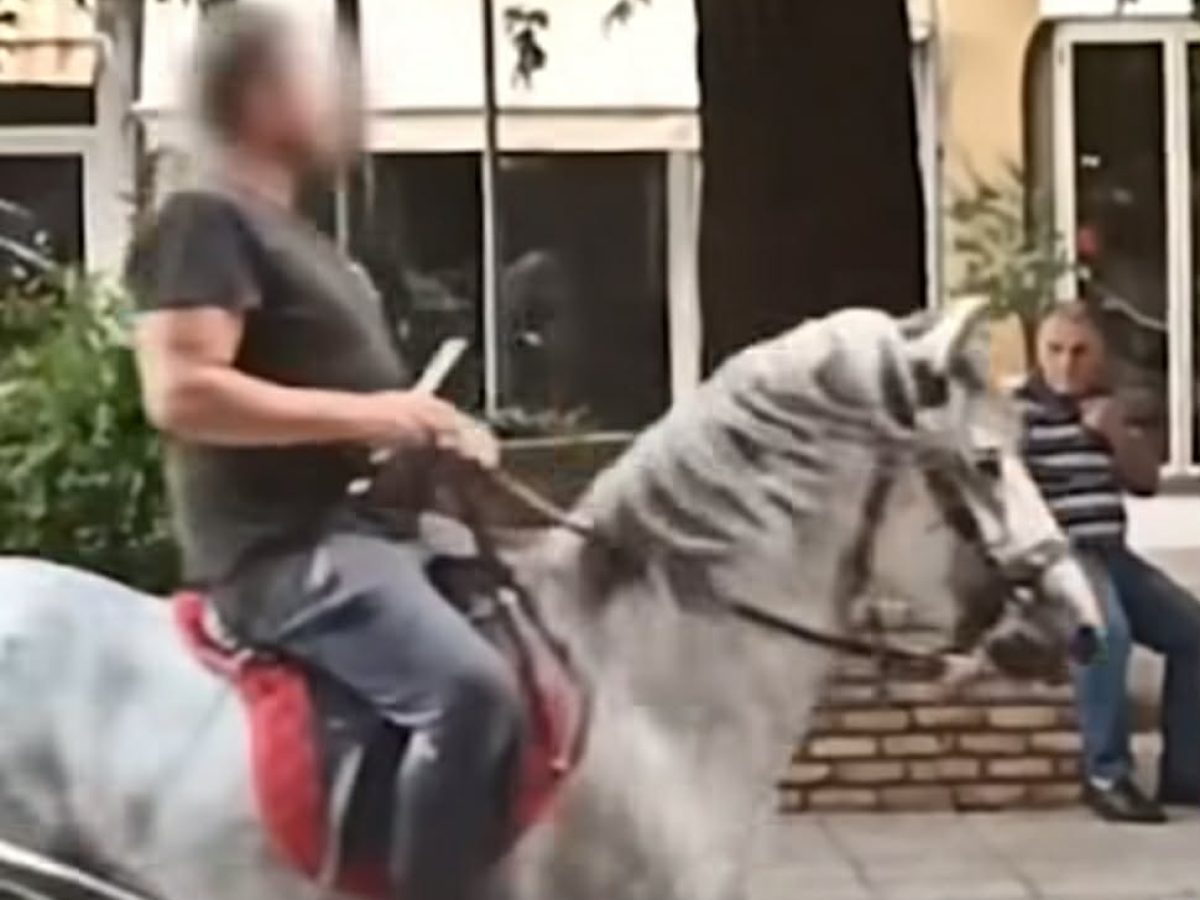 Αγρίνιο: Όταν κάποτε άλογο «κάλπαζε» στην πλατεία Χατζοπούλου