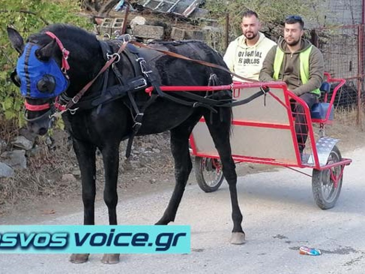Ακριβά καύσιμα;;; Ιδού η λύση-Κυκλοφόρησε νέο μοντέλο άμαξας στη Μυτιλήνη.ΒΙΝΤΕΟ