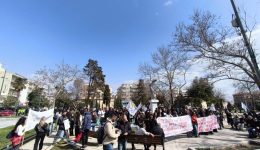 Αlexandroupoli-sillalitirio-apo-tin-epitropi