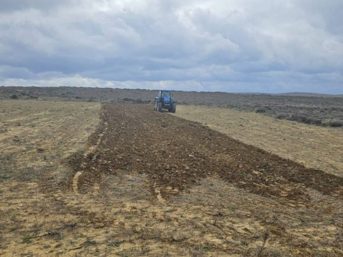 Ανάρτηση Κτηματογράφησης και Έναρξη Διαδικασίας Δηλώσεων Προτίμησης στον Αναδασμό Ατσικής