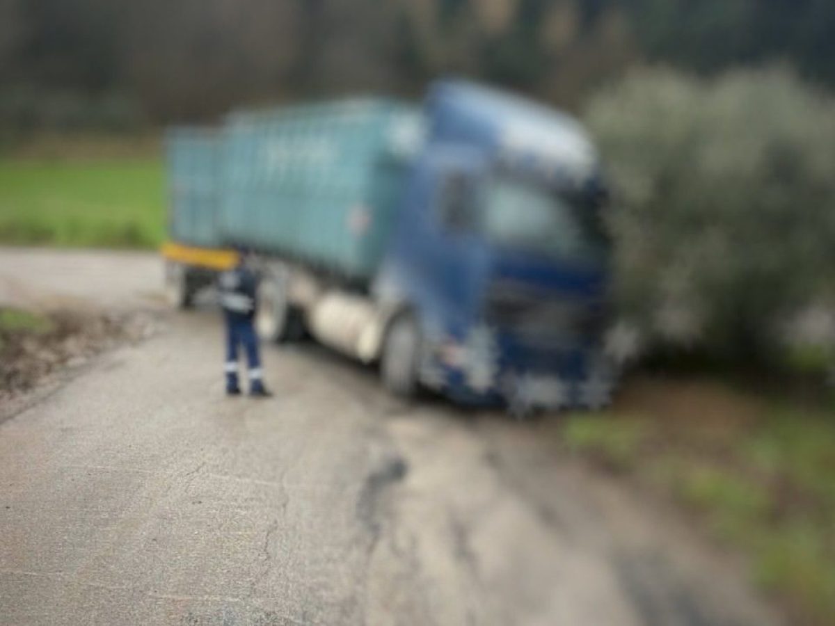 Αναστάτωση στην Εύβοια: Φορτηγό βγήκε εκτός δρόμου