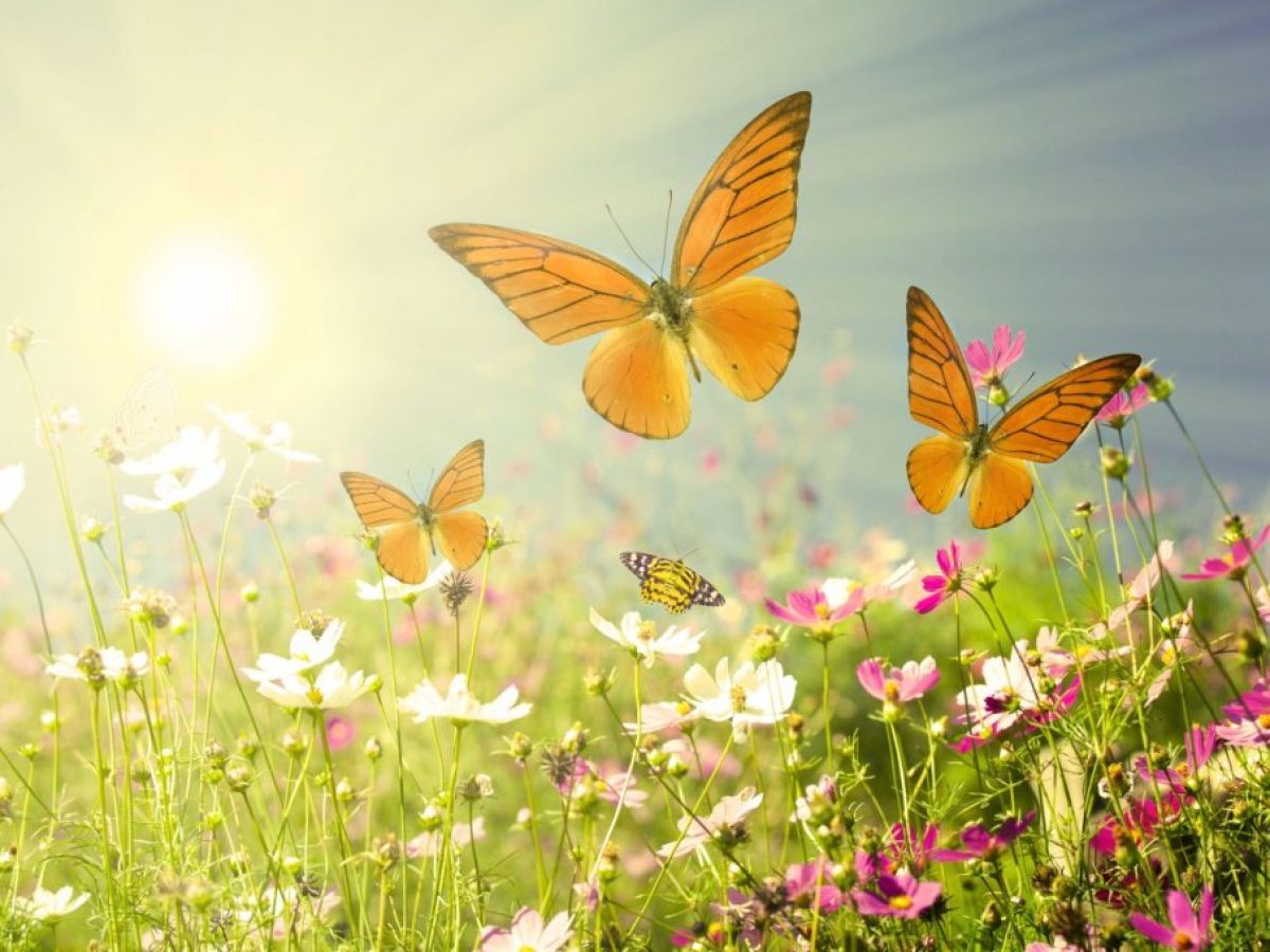 Ανοιξιάτικα Τραγουδομύθια με τους ΜιΚρούς ανθρΩ’πους