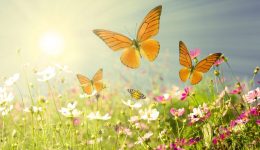 Αnixiatika-tragoudomithia-me-tous-mikrous