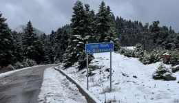 Αparetites-i-alisides-apo