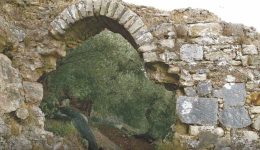 Αrchea-polirrinia-i-antipalos-tis