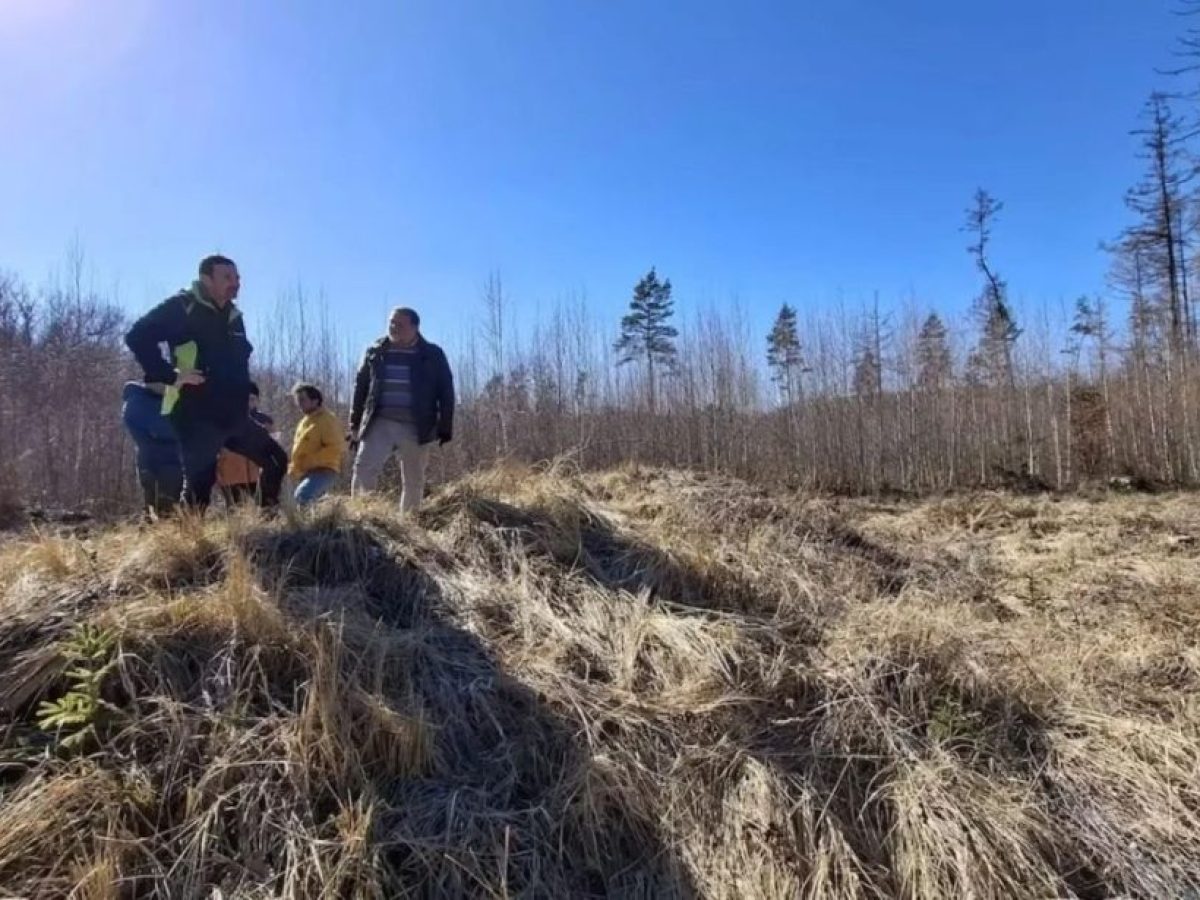 Αρχαιολόγοι στην Τσεχία ερεύνησαν τύμβο σε αγρόκτημα και ανακάλυψαν ερείπια 5.000 χρόνων