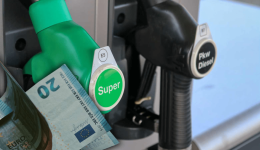 Αrnitiki-protia-ton-kikladon-sta