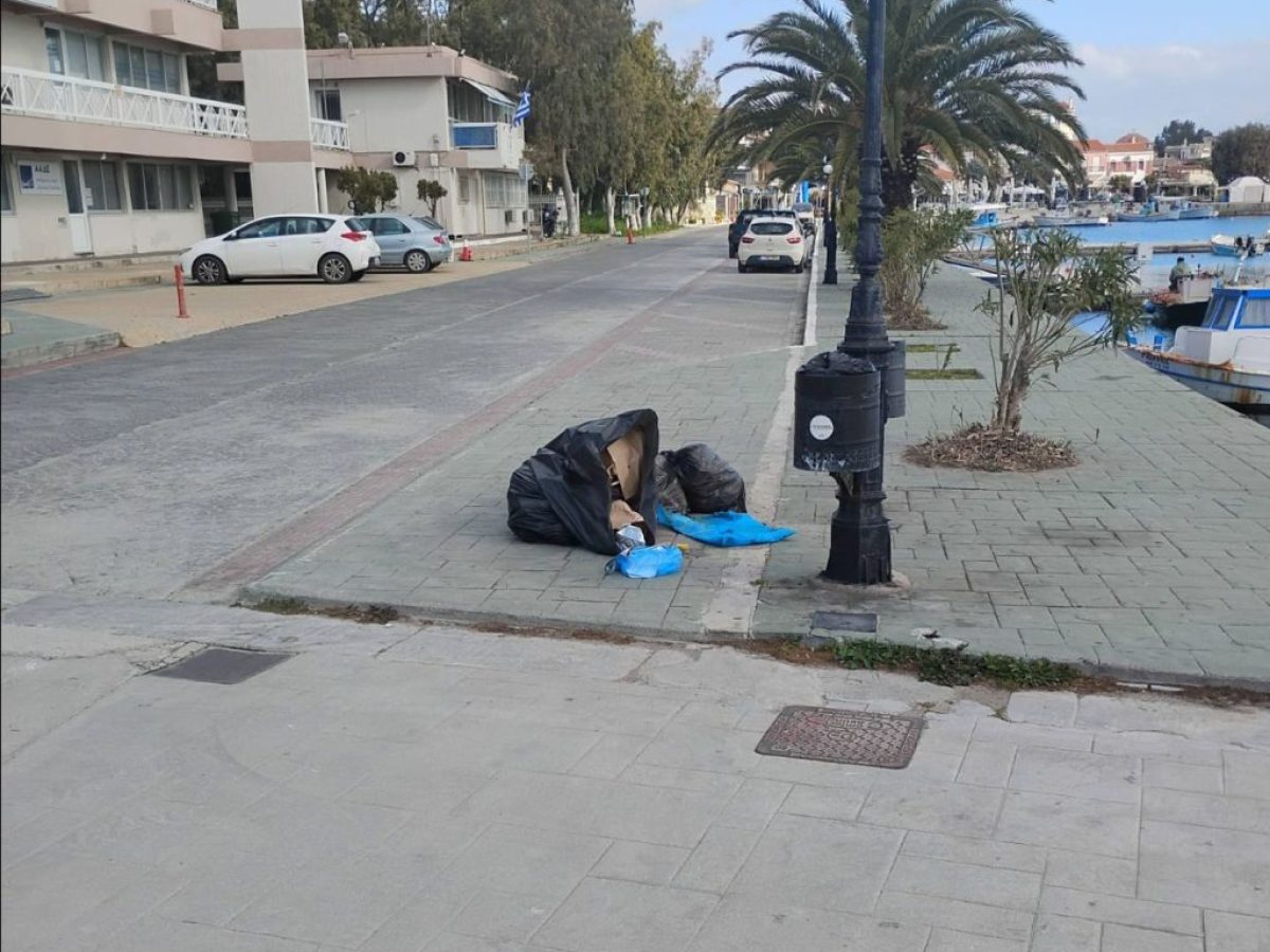 Ασυνείδητοι πέταξαν σκουπίδια δίπλα από κάδο σε λιμάνι της Εύβοιας