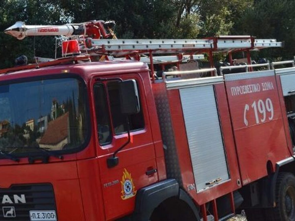 &Alpha;&chi;&alpha;ΐ&alpha;: &Eta; &phi;&omega;&tau;&iota;ά &sigma;&epsilon; &chi;&omicron;&rho;&tau;ά&rho;&iota;&alpha; &theta;&alpha; &tau;&omicron;&upsilon; &kappa;&omicron;&sigma;&tau;ί&sigma;&epsilon;&iota; &alpha;&kappa;&rho;&iota;&beta;ά