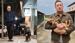 &Alpha;lexandroupoli-to-vinteo-minima-tou-dimarchou