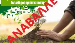 &Alpha;navallete-i-programmatismeni-dendrofitefsi-sti
