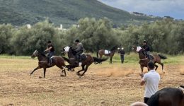 &Alpha;naviose-to-ethimo-ton-ippodromion
