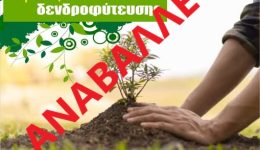 &Alpha;navoli-dendrofitefsis-sti-nea-kallikratia